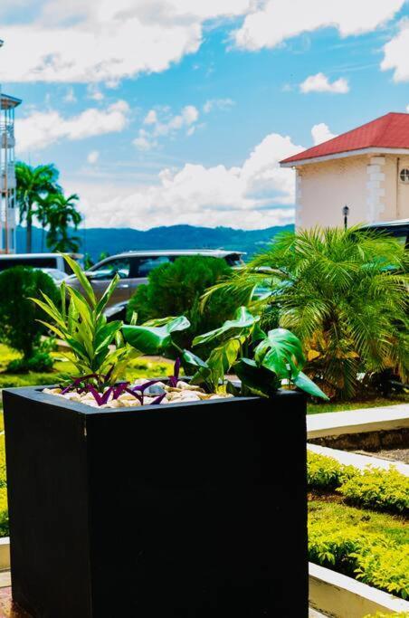 Falcon Islandview - Airport Pickup Available - 24Security Montego Bay Kültér fotó